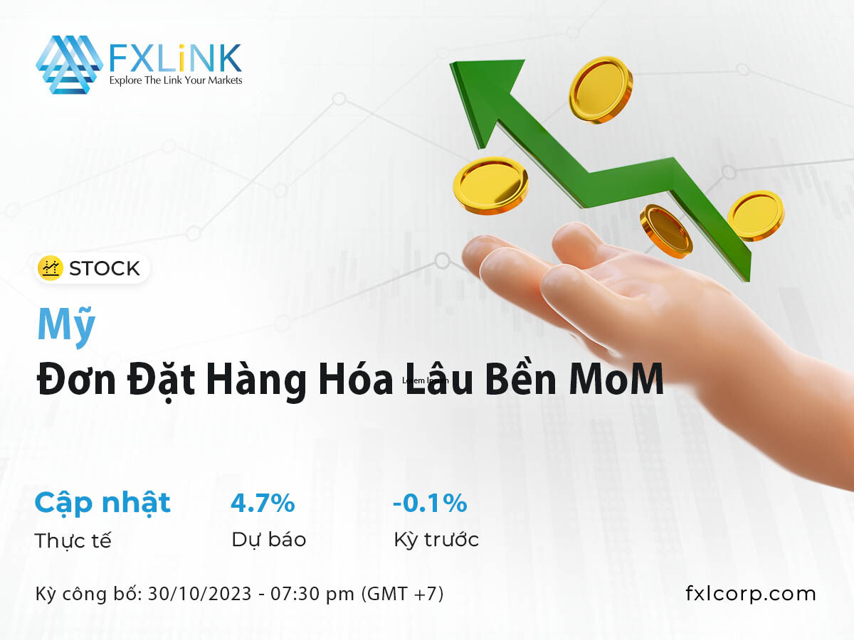 FXLink Việt Nam 1