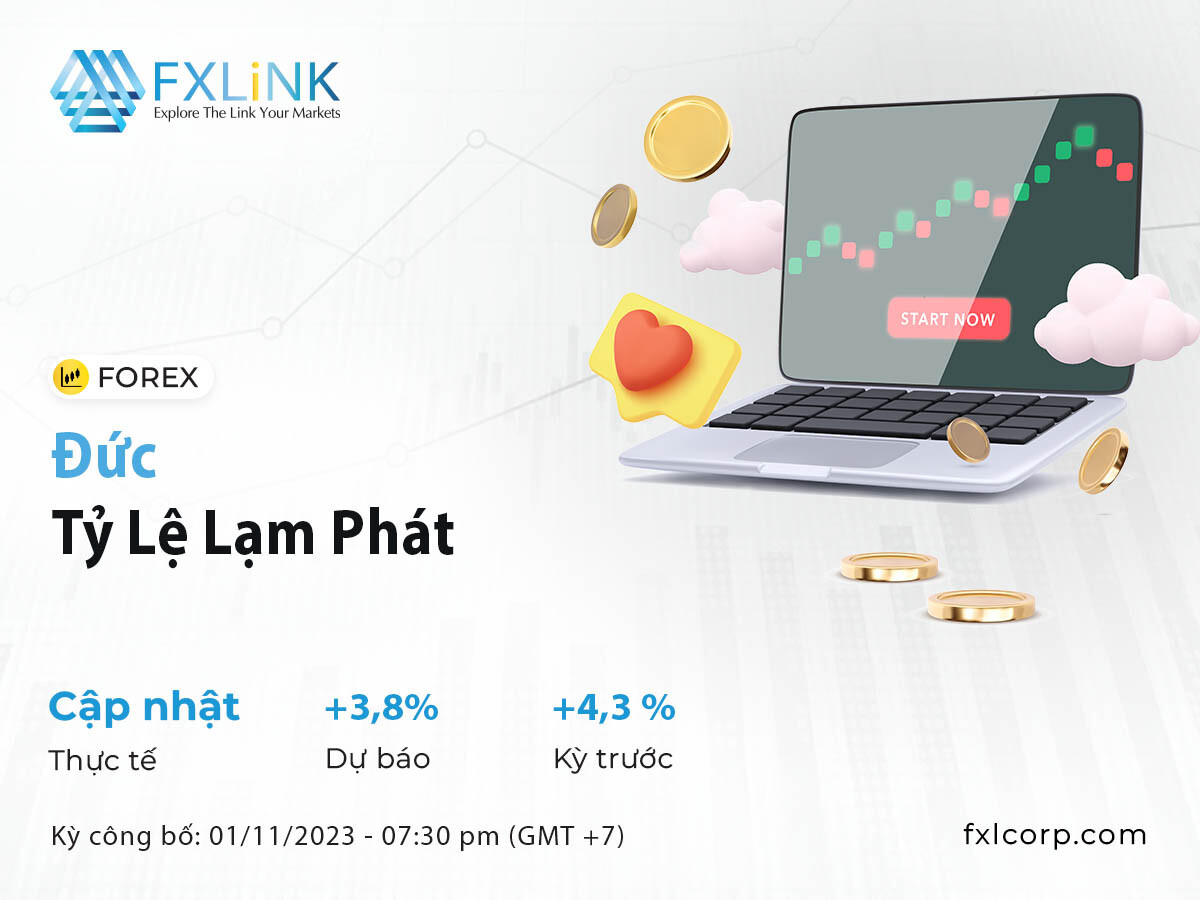 FXLink Việt Nam 3