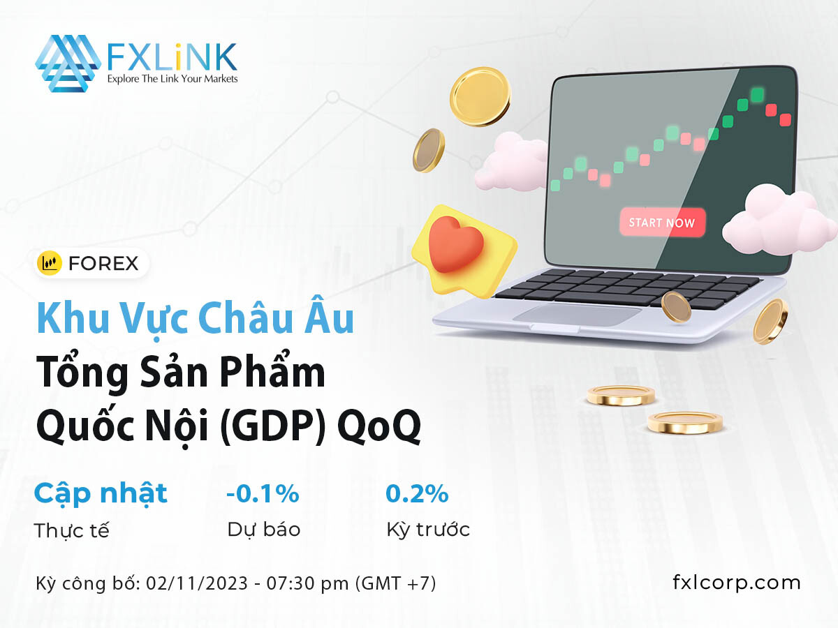 FXLink Việt Nam 7