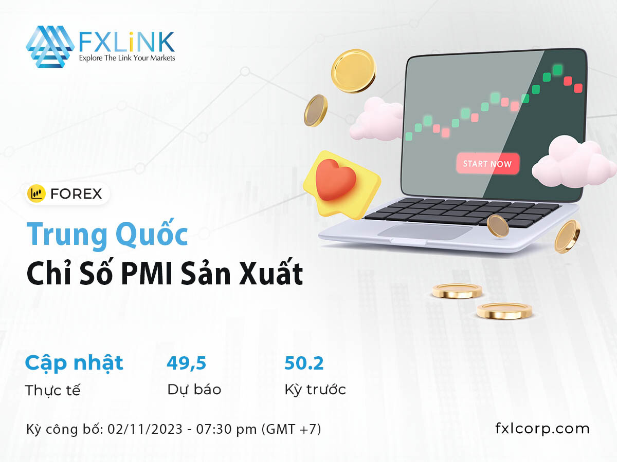 FXLink Việt Nam 5