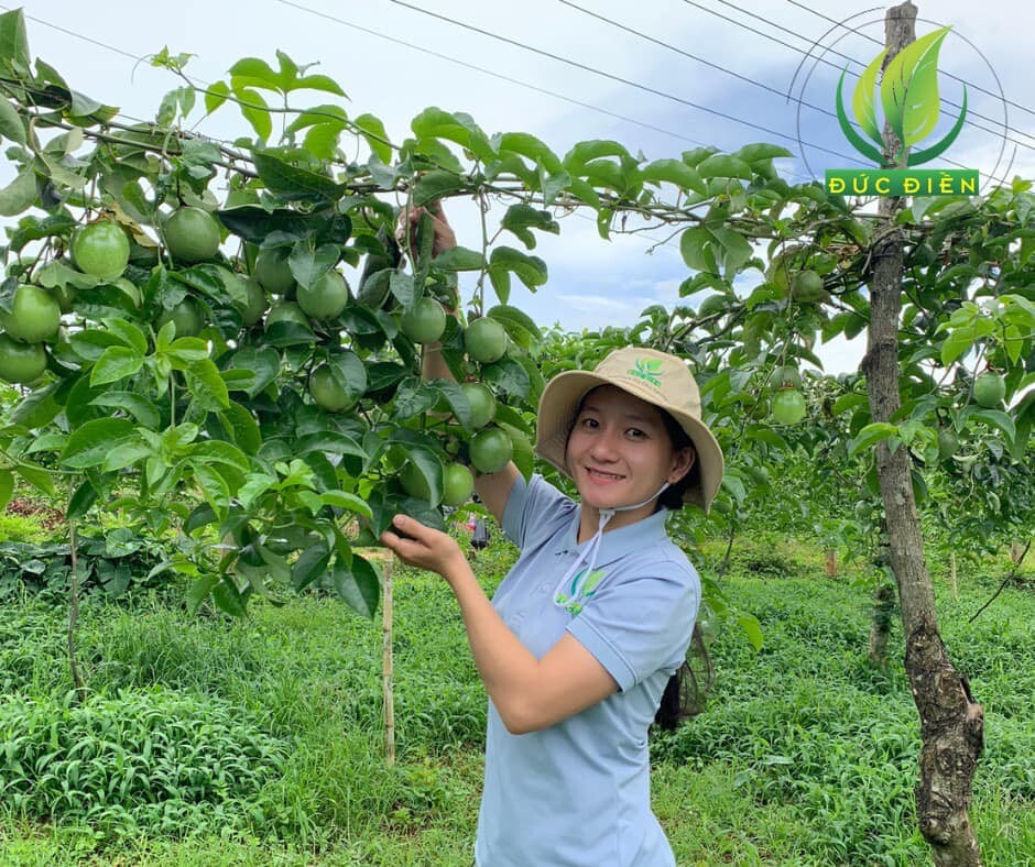 Nông Nghiệp SeSan Gia Lai 1