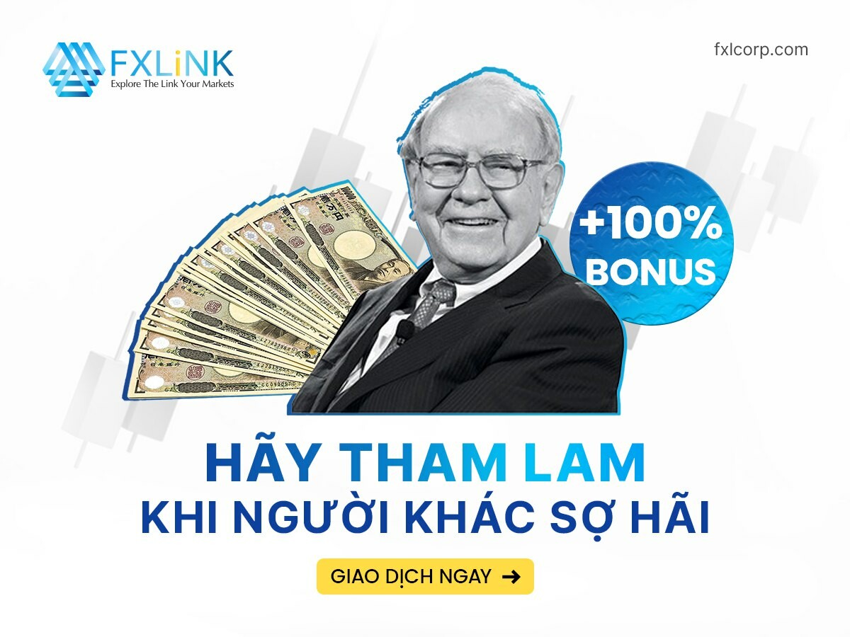 FXLink Việt Nam 6