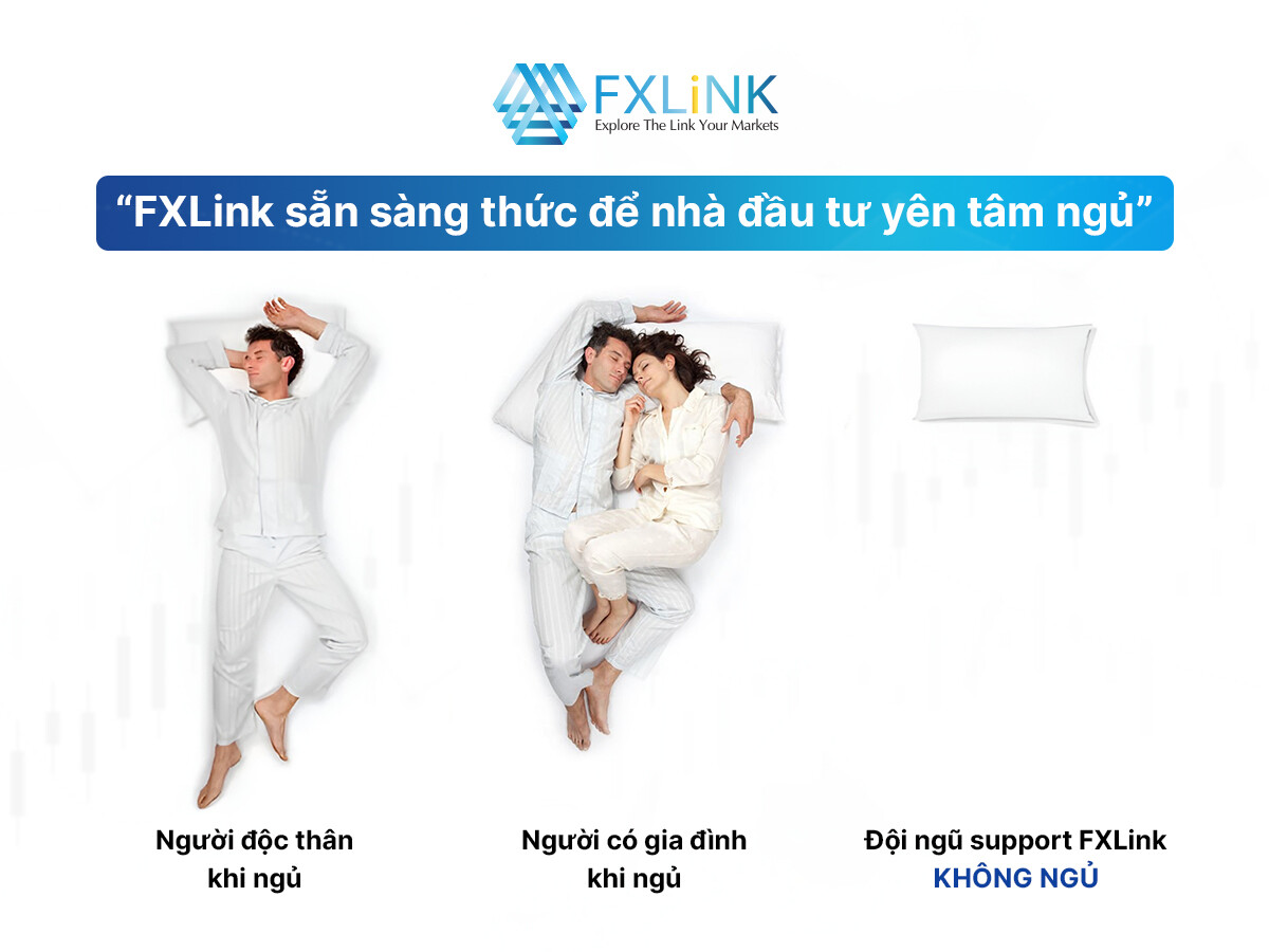 FXLink Việt Nam 9