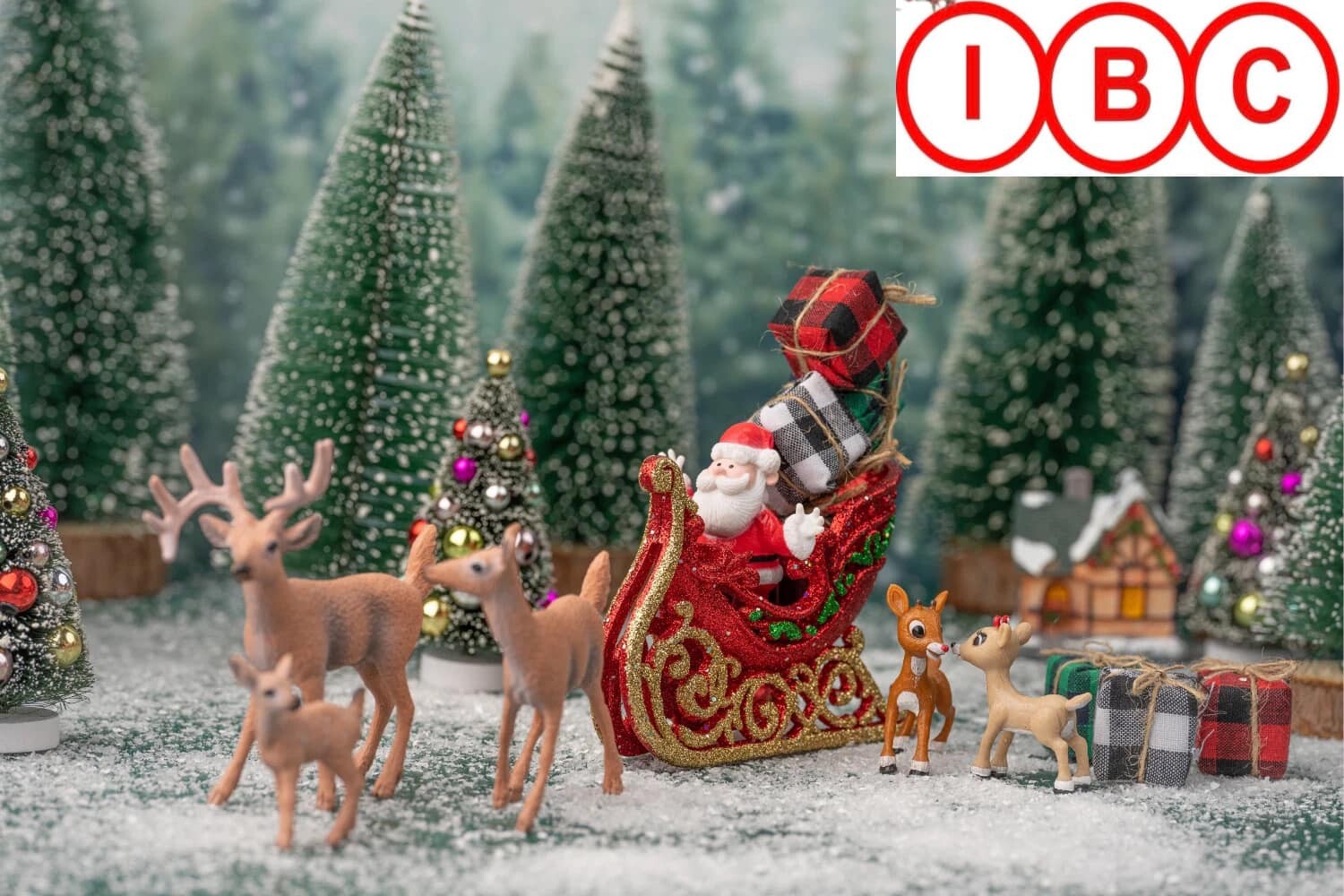 XNK IBC VIỆT NAM 5