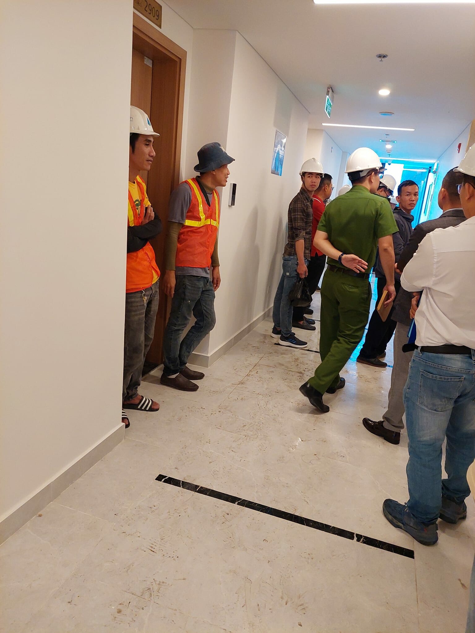 Luxury Denshi Việt Nam 9