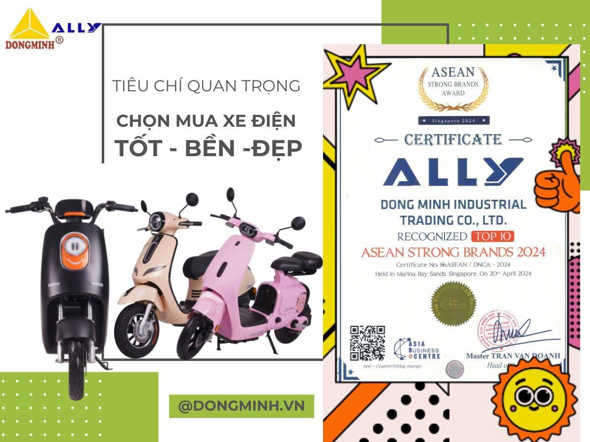 Công thương Đồng Minh - Xe máy Ally 4