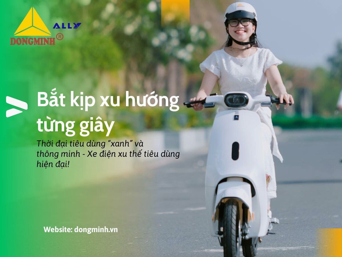 Công thương Đồng Minh - Xe máy Ally 5