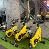 Nam Phương Sports 8