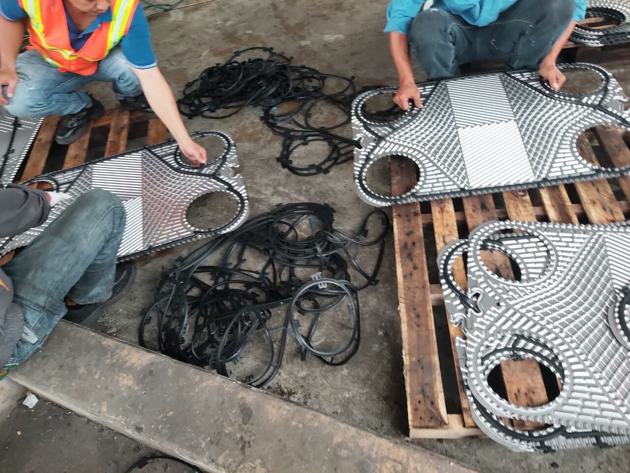 Thương Mại Dịch Vụ Kỹ Thuật The Regal V 5