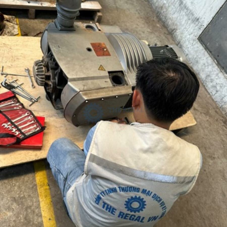 Thương Mại Dịch Vụ Kỹ Thuật The Regal V 7