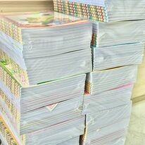 PHƯỢNG HOÀNG NGÂN 2