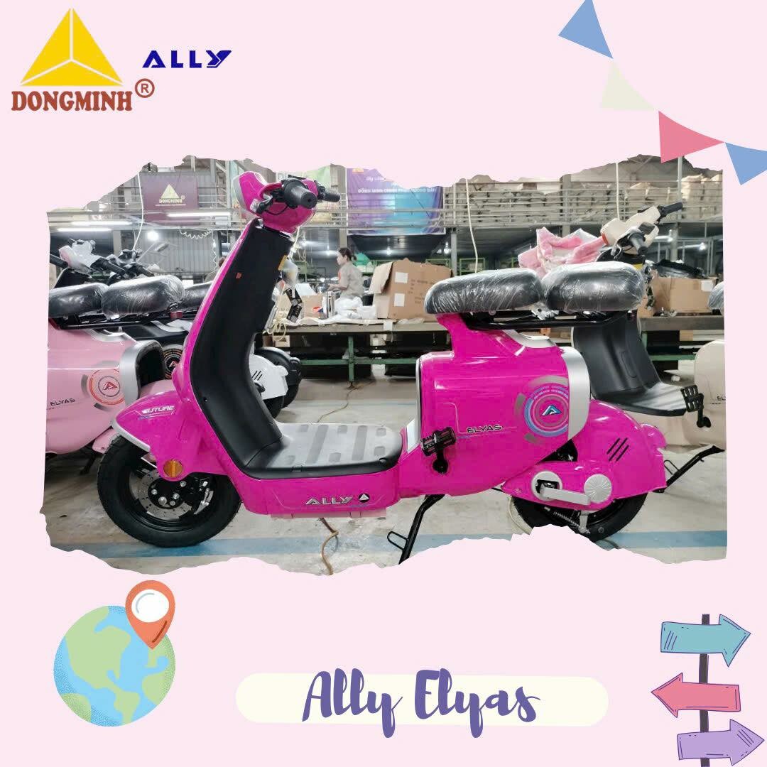 Công thương Đồng Minh - Xe máy Ally 8