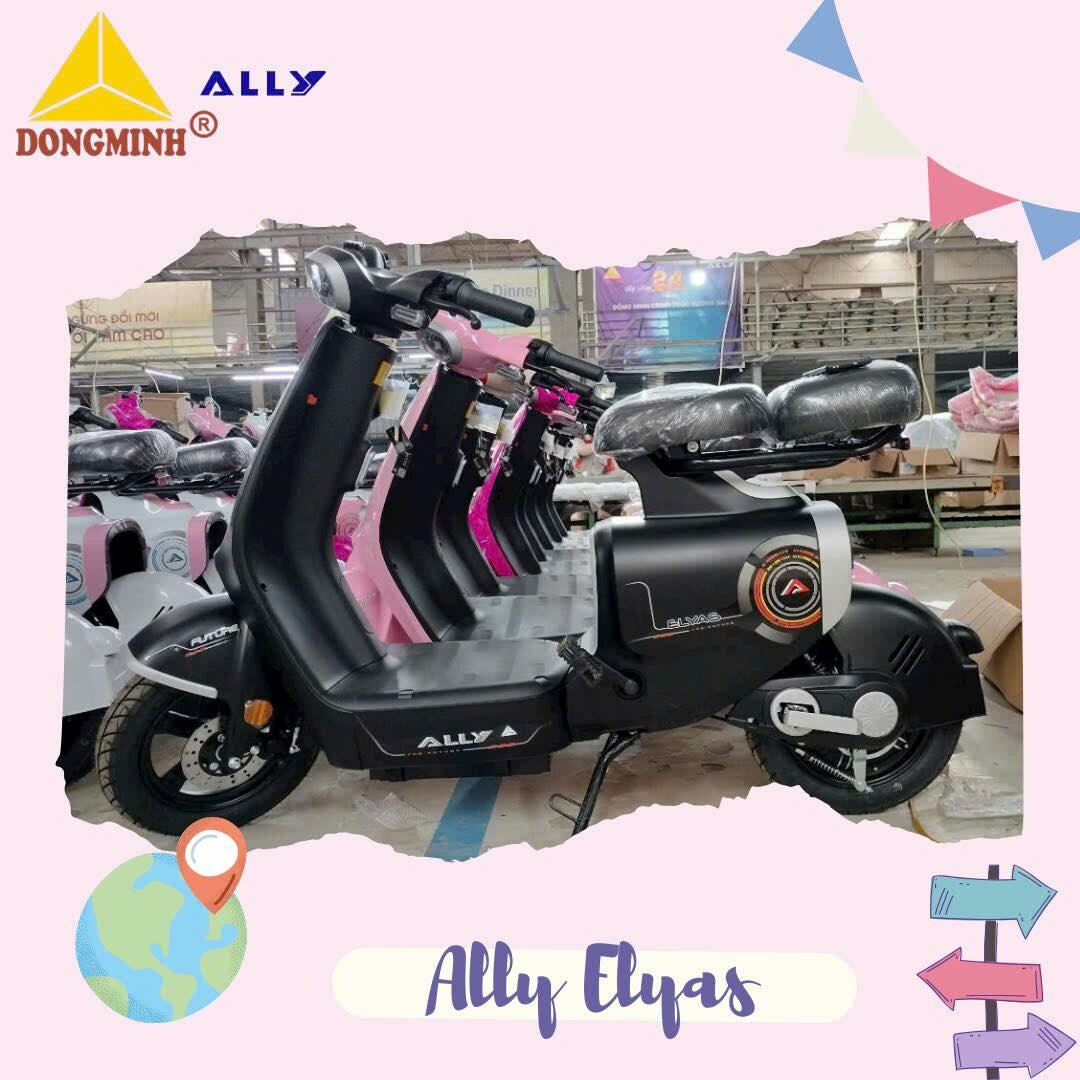 Công thương Đồng Minh - Xe máy Ally 6