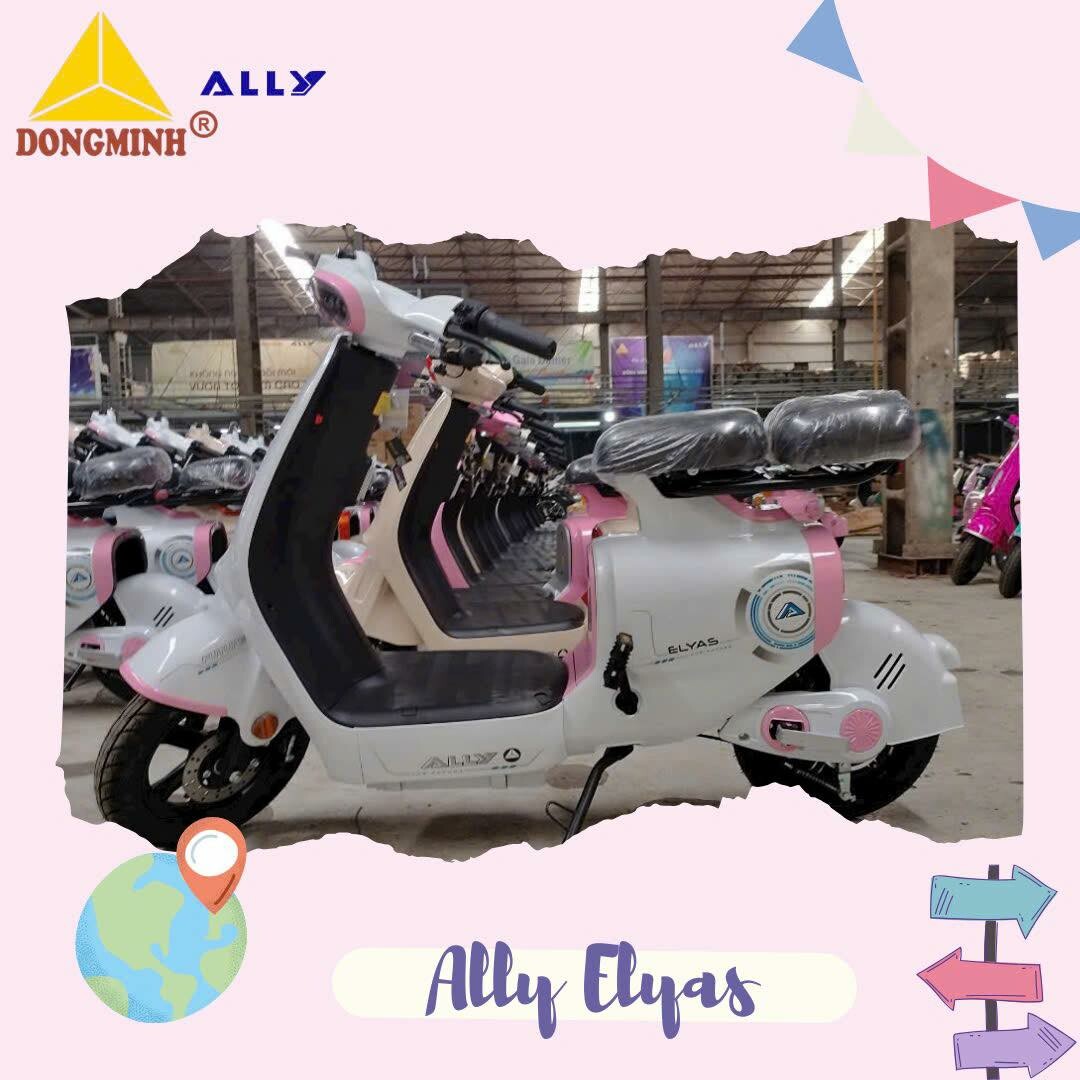 Công thương Đồng Minh - Xe máy Ally 7