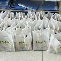 PHƯỢNG HOÀNG NGÂN 1