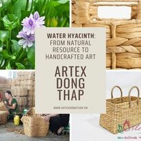 ARTEX ĐỒNG THÁP 5