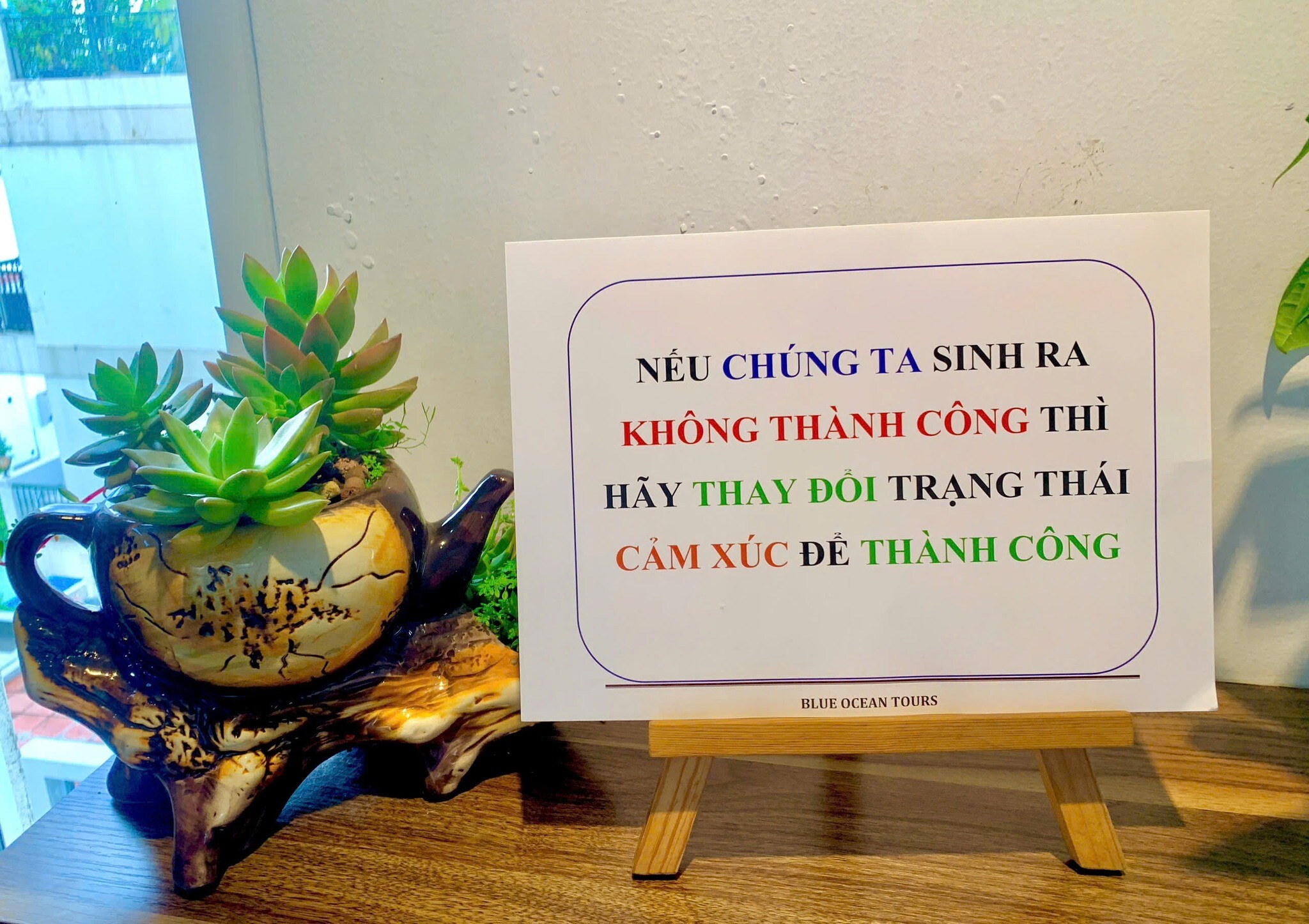 DU LỊCH ĐẠI DƯƠNG XANH 8