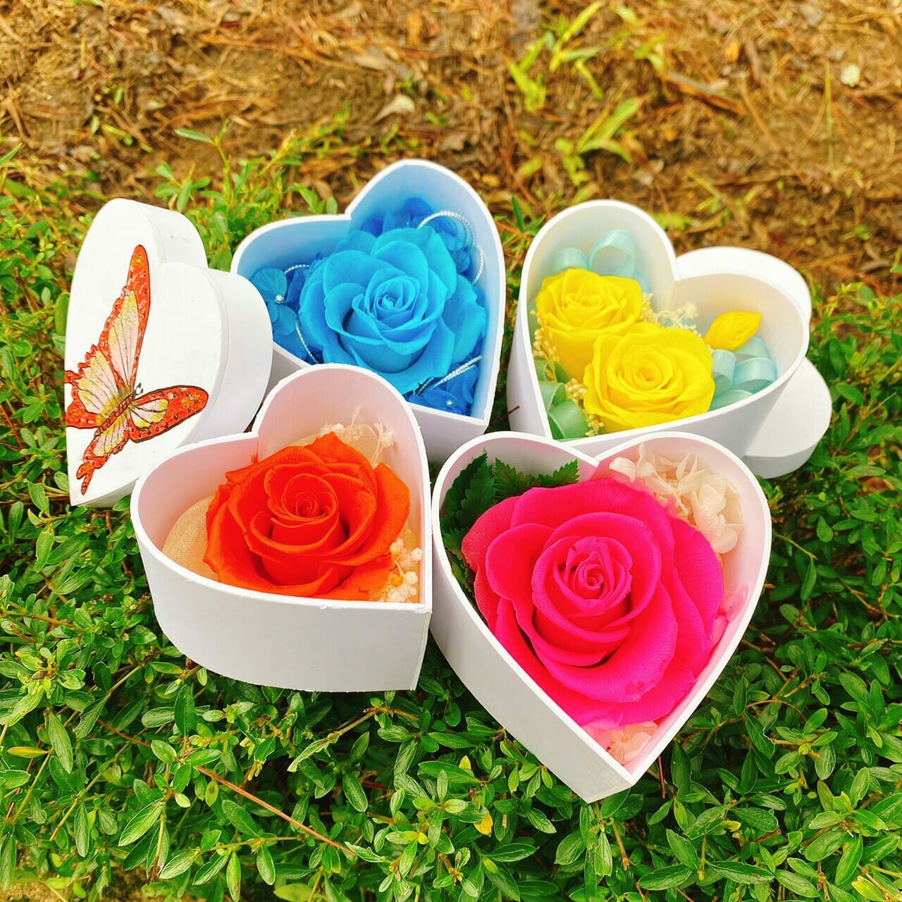 Công Nghệ Sinh Học Rừng Hoa Đà Lạt 1