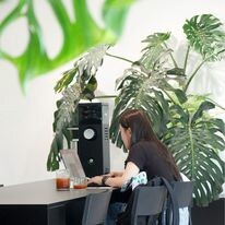 Sản xuất thương mại dịch vụ 43 - 43 Factory Coffee Roaster 6