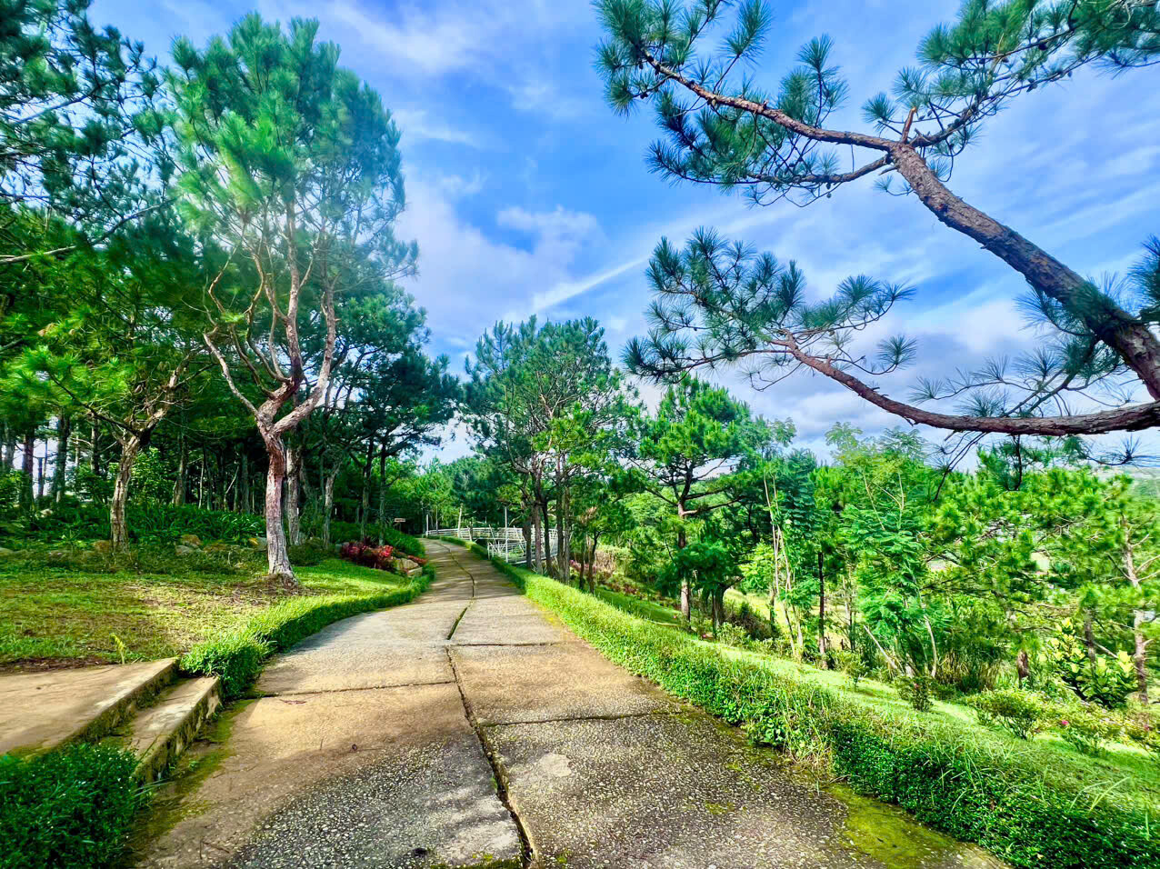 Công Nghệ Sinh Học Rừng Hoa Đà Lạt 3