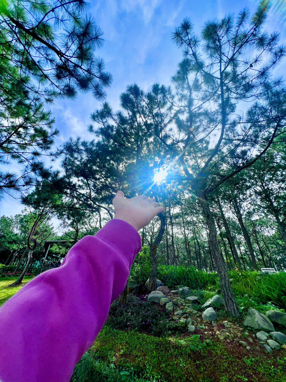 Công Nghệ Sinh Học Rừng Hoa Đà Lạt 5