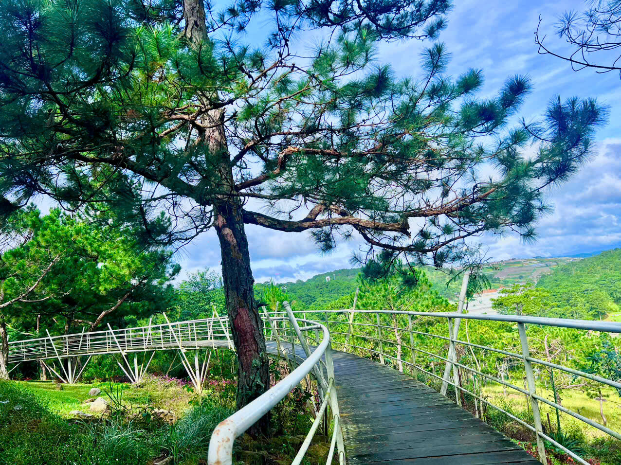 Công Nghệ Sinh Học Rừng Hoa Đà Lạt 6