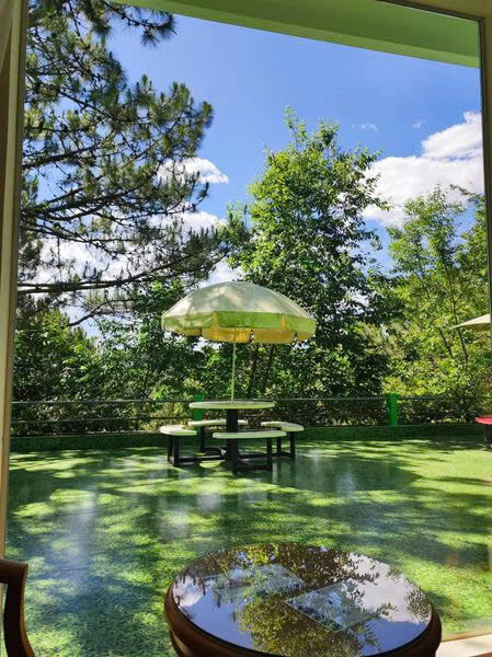 Công Nghệ Sinh Học Rừng Hoa Đà Lạt 2