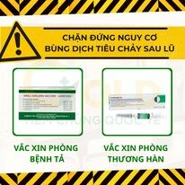 Y Tế Toàn Cầu - Trung tâm tiêm chủng Quốc tế Gold 12