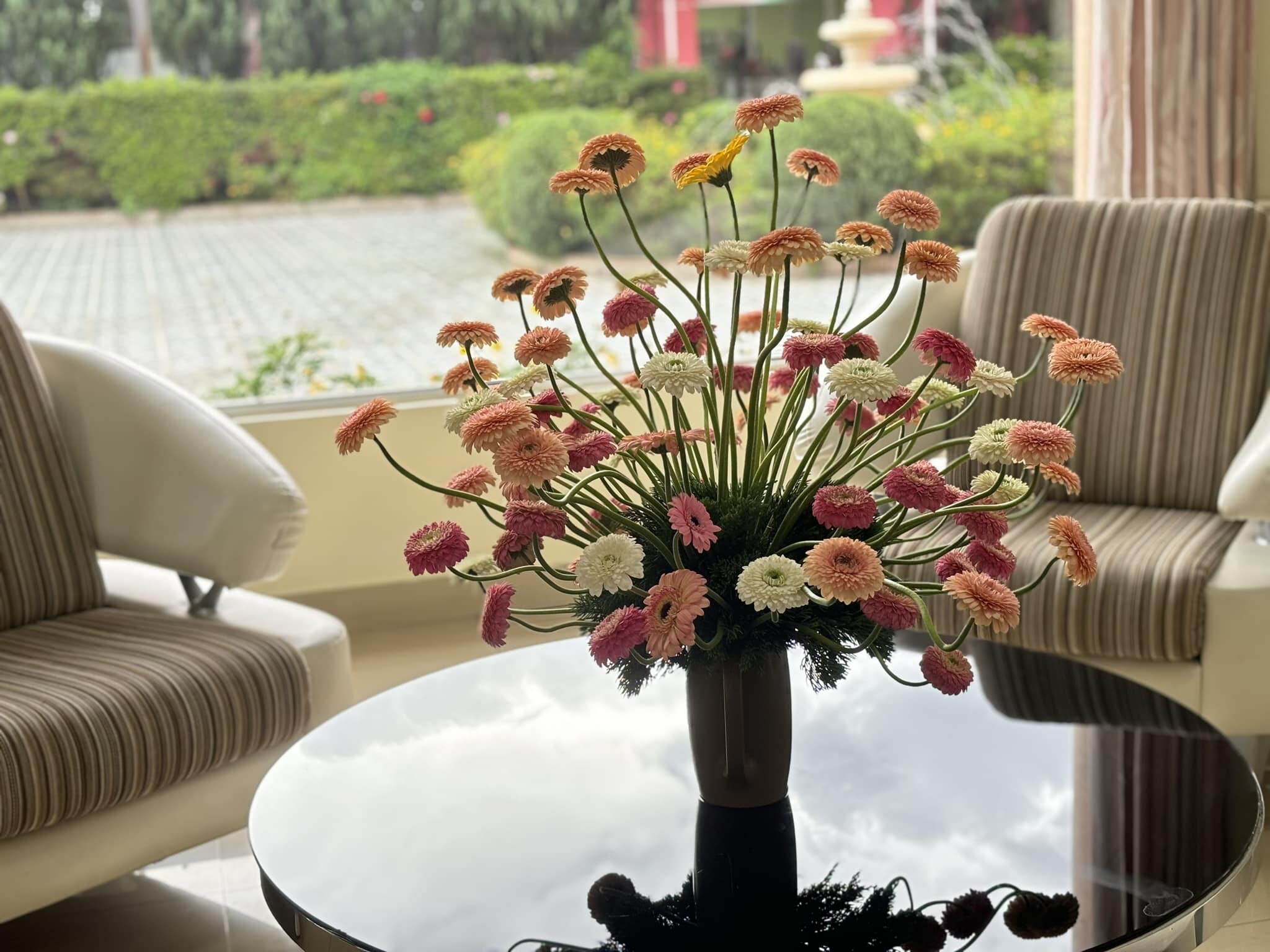 Công Nghệ Sinh Học Rừng Hoa Đà Lạt 7