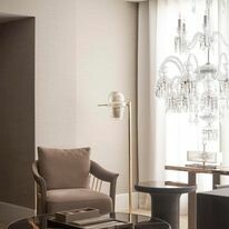 Thái Công Việt Nam 8