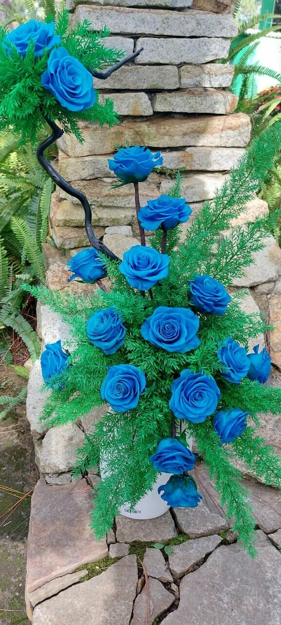 Công Nghệ Sinh Học Rừng Hoa Đà Lạt 8