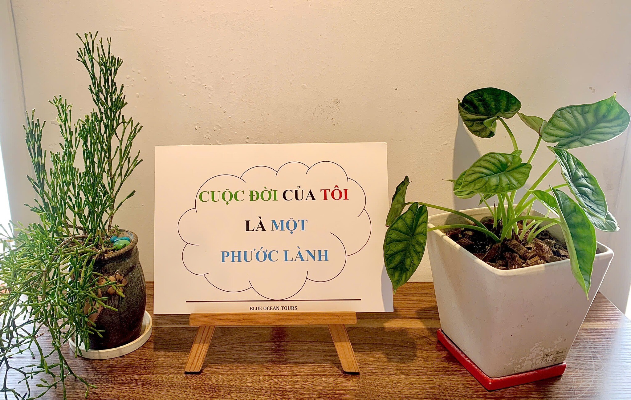 DU LỊCH ĐẠI DƯƠNG XANH 9