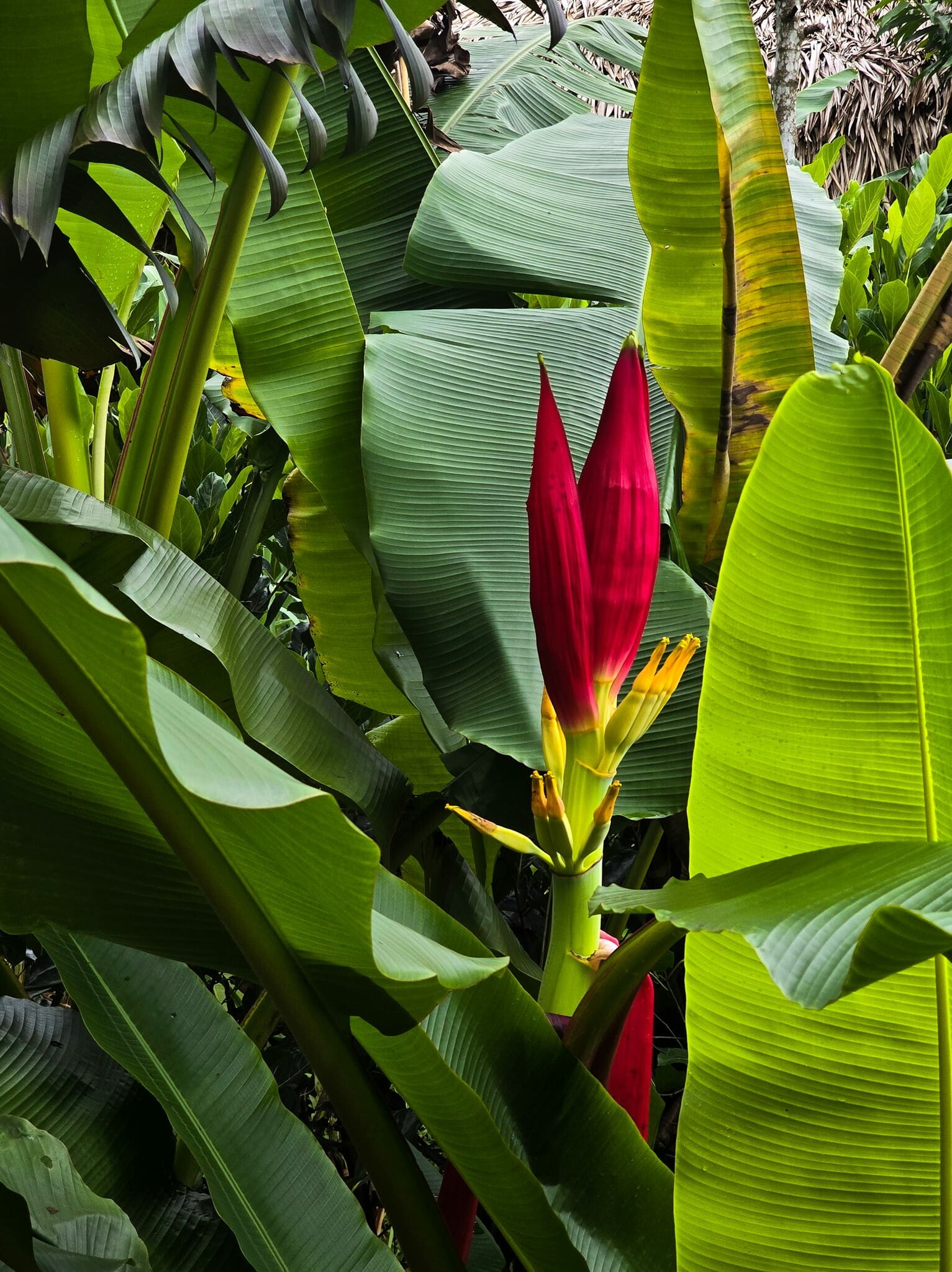 An Châng Retreat & Spa 6