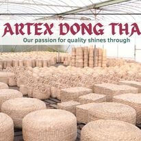 ARTEX ĐỒNG THÁP 9