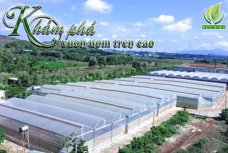 Nông Nghiệp SeSan Gia Lai 9