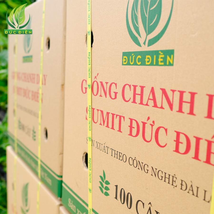 Nông Nghiệp SeSan Gia Lai 10