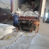 Gemachem Việt Nam 2