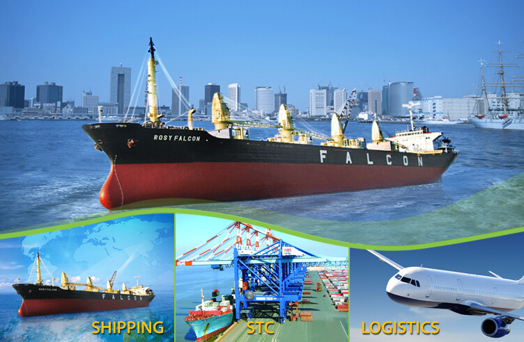 Vận Tải Dầu Khí Việt Nam FALCON TIC 7