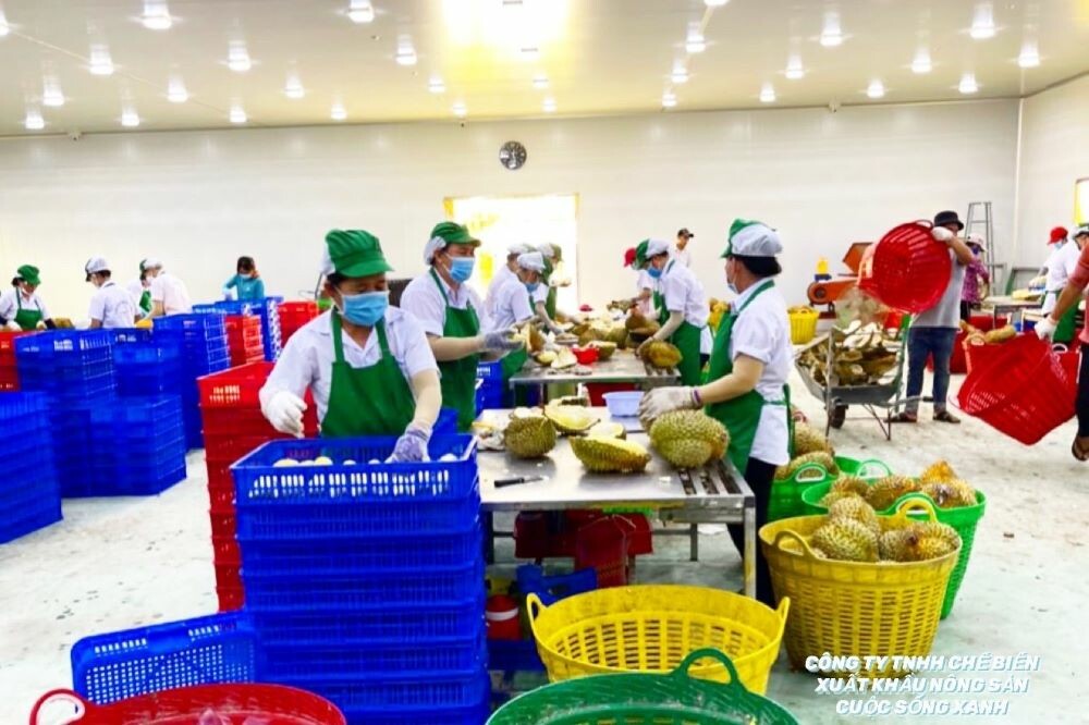 Cuộc Sống Xanh - GreenLife 7