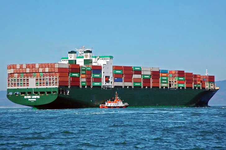 Vận Tải Dầu Khí Việt Nam FALCON TIC 6