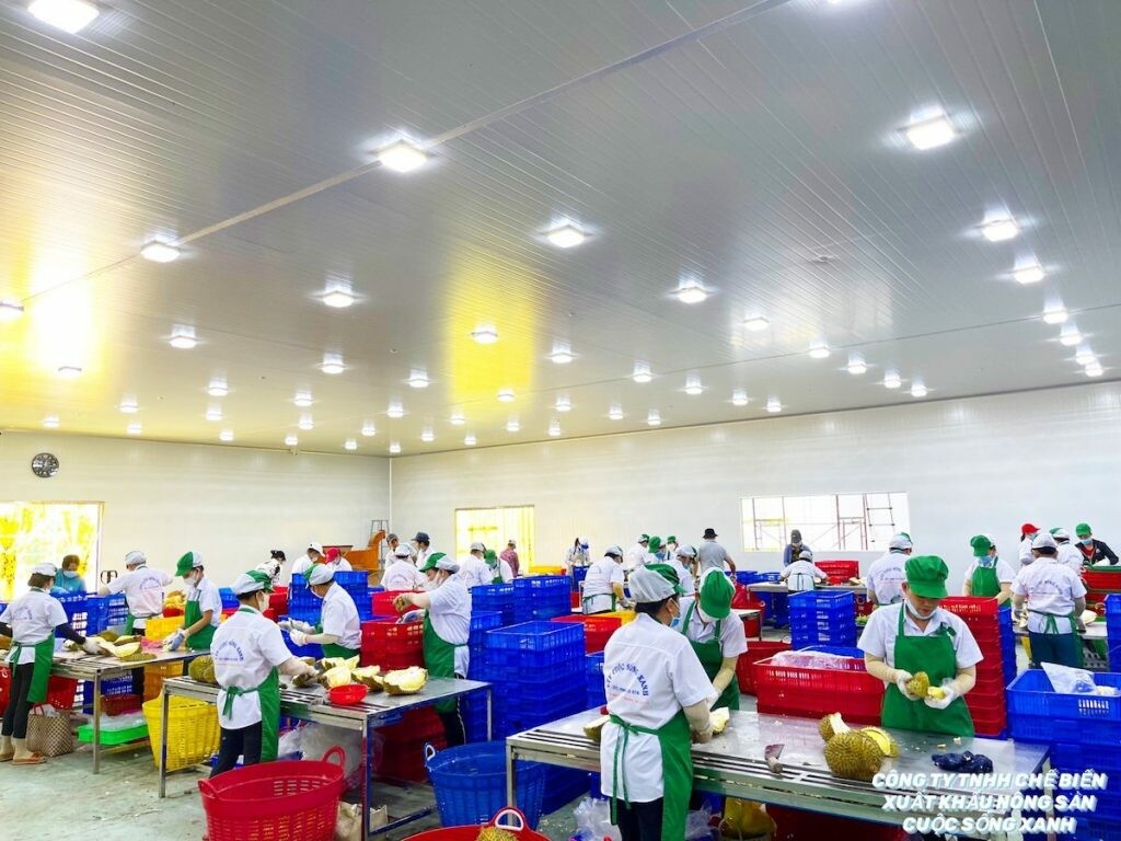 Cuộc Sống Xanh - GreenLife 9