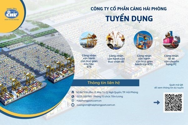 Dịch Vụ Cảng Hải Phòng 9