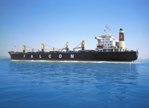 Vận Tải Dầu Khí Việt Nam FALCON TIC 5