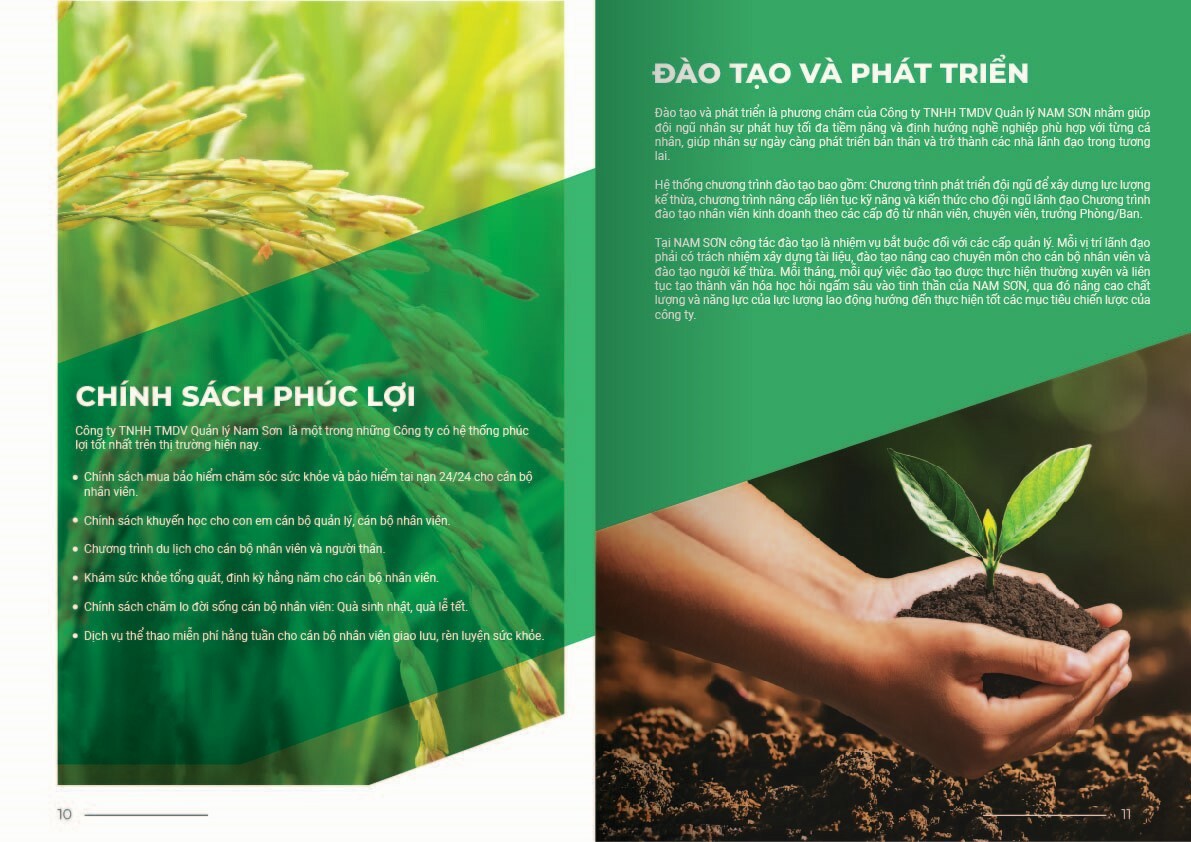 Quản lý Nam Sơn 10