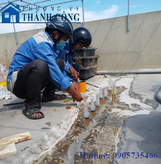 Phương Vy Thành Công 3