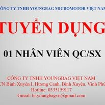 Youngbag Micromotor Việt Nam 1