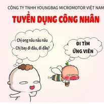 Youngbag Micromotor Việt Nam 4