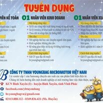 Youngbag Micromotor Việt Nam 2