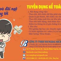 Youngbag Micromotor Việt Nam 3