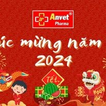 Dược Phẩm Anvet 3